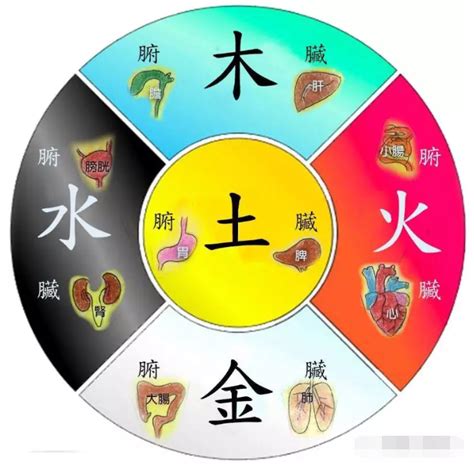 金木水火土人格|金木水火土，五行性格大全